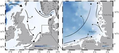 A State-of-the-Art Compact Surface Drifter Reveals Pathways of Floating Marine Litter in the German Bight